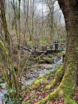 El puente del Dragon