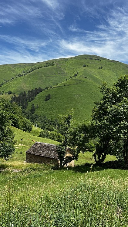 Caba&ntilde;a Pasiega